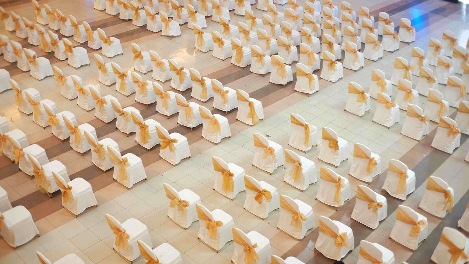 Seminar & Conferences